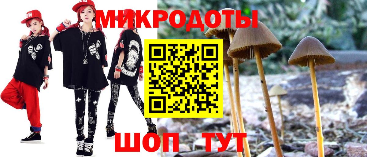 Псилоцибиновые грибы мицелий Кушва
